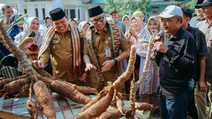 New Policy: Gubernur Lampung Perkuat Pertanian Lewat Pupuk Organik Cair dan Hilirisasi Desa