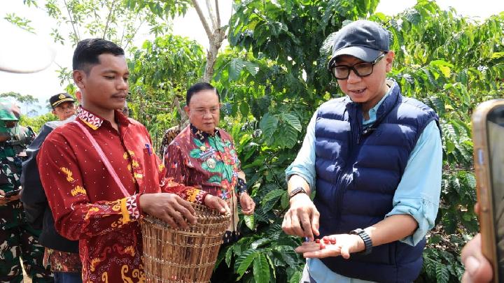 Latest Program: Gubernur Lampung Dorong Penggunaan PHC, Percepat Produksi Kopi menjadi 1,5 tahun