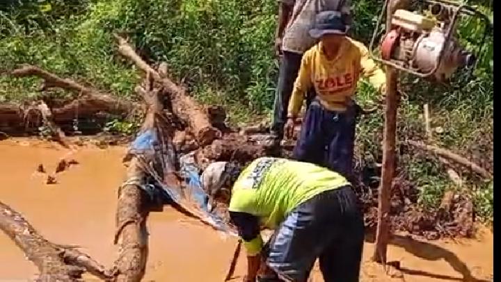 New Policy: Lahan Dirusak Tambang Emas, DLH Banyuwangi Surati Pemprov
