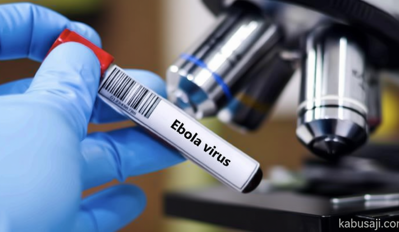 Ebola Outbreak Much Larger Than Official Figures, WHO Says
