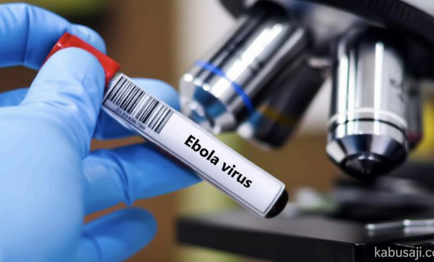 Ebola Outbreak Much Larger Than Official Figures, WHO Says