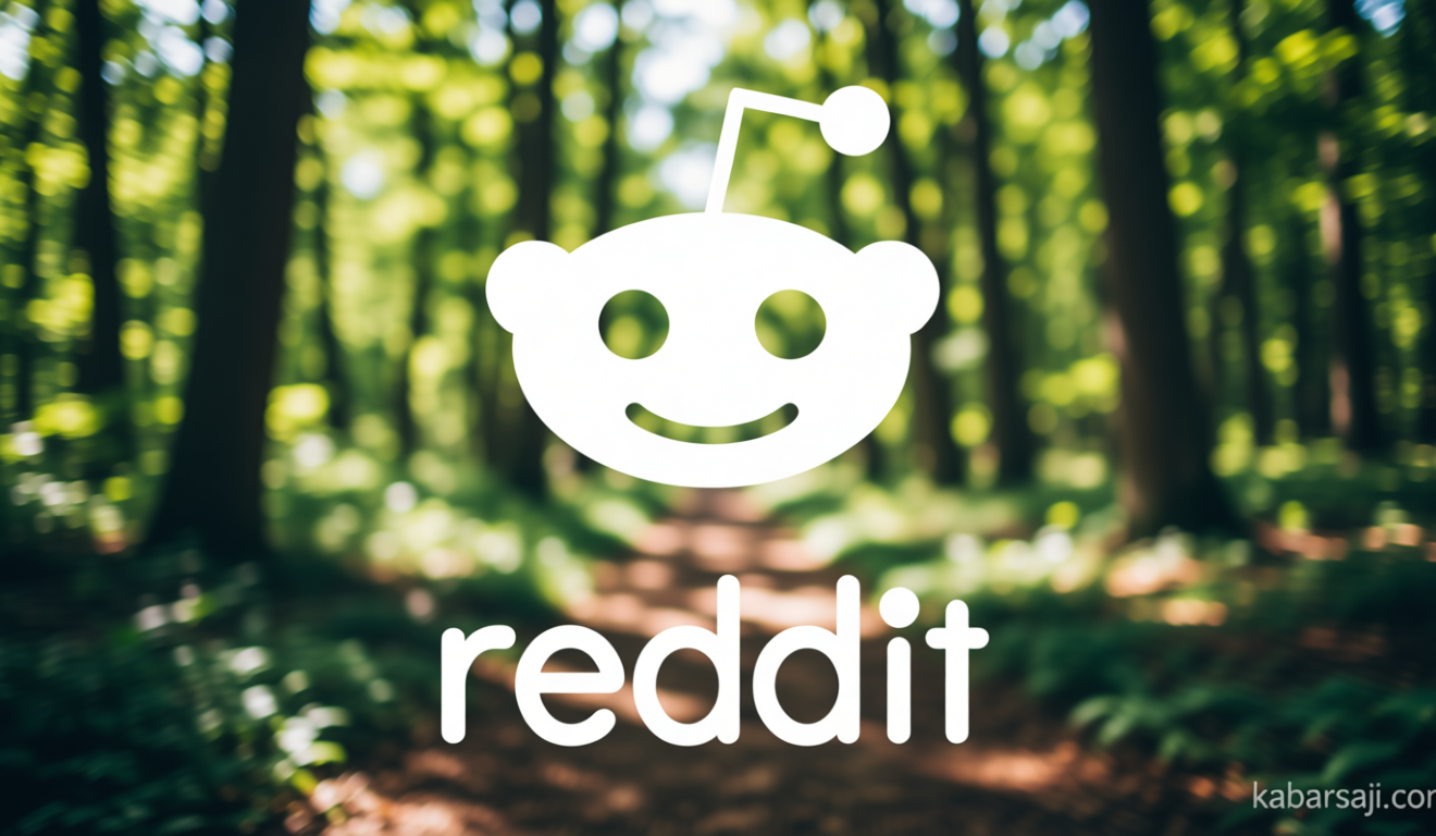 Indonesia Unblocks Reddit After 11 Years; Here’s Why