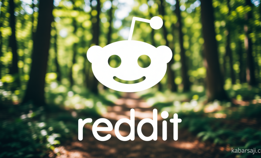 Indonesia Unblocks Reddit After 11 Years; Here’s Why