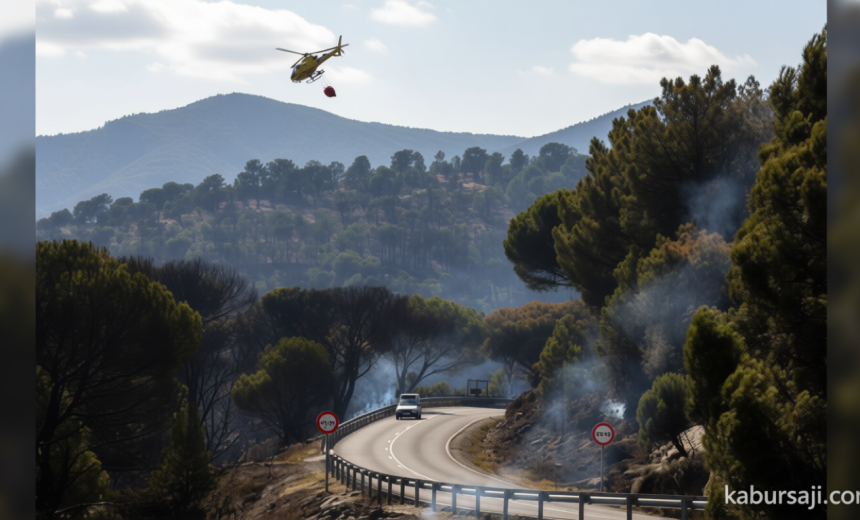 Firefighters Battle Wildfires Across Southern Europe