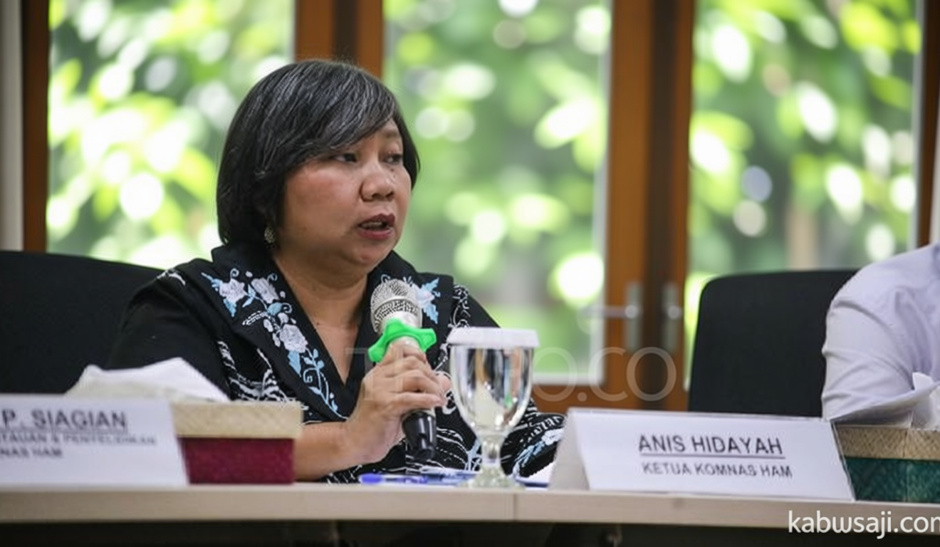 Komnas HAM Soroti Ibu Hamil Tewas Ditembak di Intan Jaya