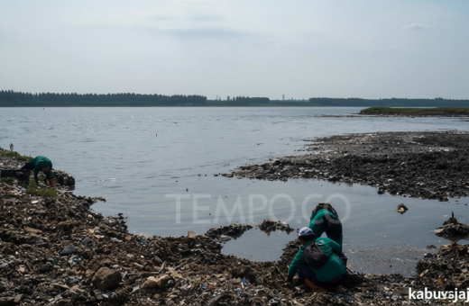 Microplastics Threaten Fish Most in Mating Season, Study Finds